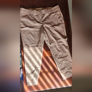 Lane Bryant Chic Tan Trousers Size 20